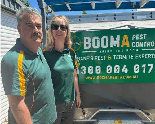 End of Lease Pest Control