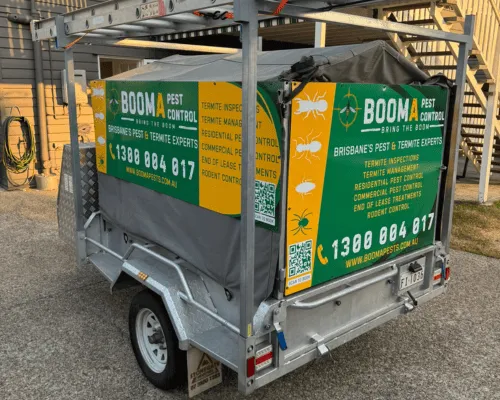 Commercial Pest Control Brisbane