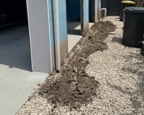 Commercial Pest Control Brisbane