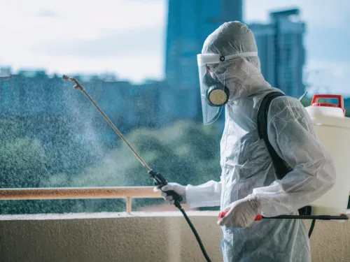 Sandgate Commercial Pest Control