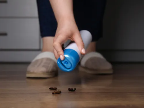  Residential Pest Control