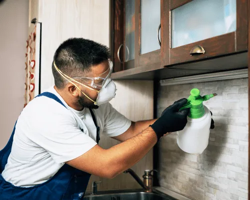  Commercial Pest Control
