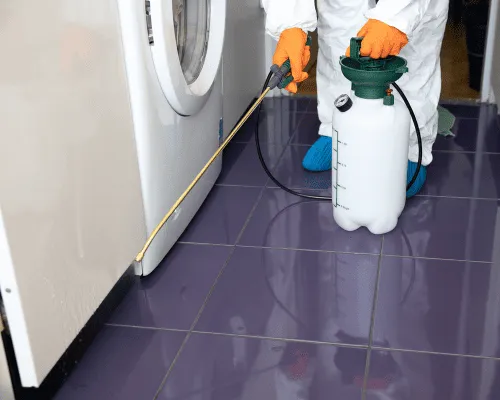 Taigum Rodent Control