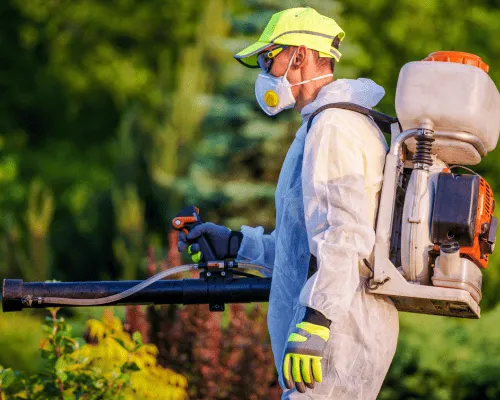 Margate Residential Pest Control
