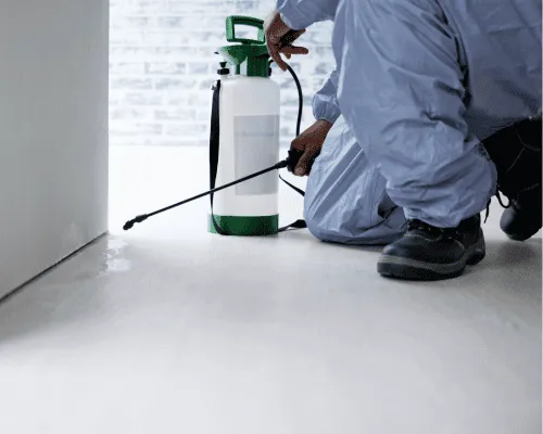 Brisbane Rodent Control