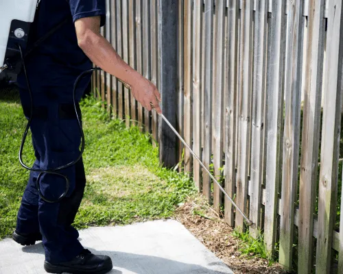 Brisbane Residential Pest Control