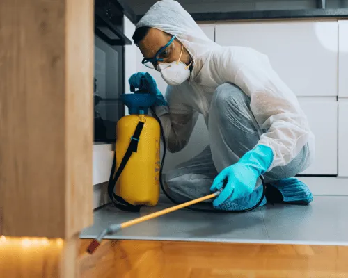Sandgate Commercial Pest Control