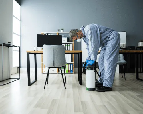 Bald Hills Commercial Pest Control