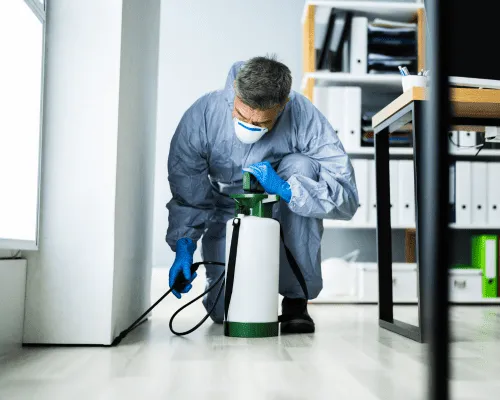 Nudgee Residential Pest Control