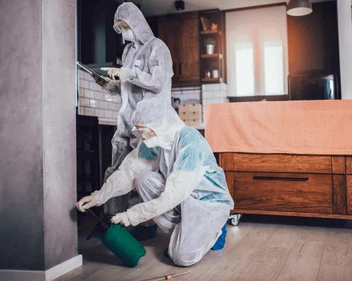 Commercial Pest Control
