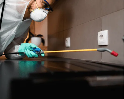 Carseldine Commercial Pest Control