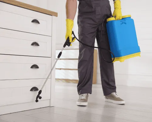 Clontarf Residential Pest Control