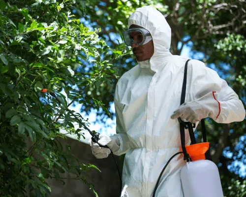 Bald Hills Residential Pest Control