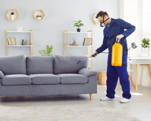 Carseldine Residential Pest Control