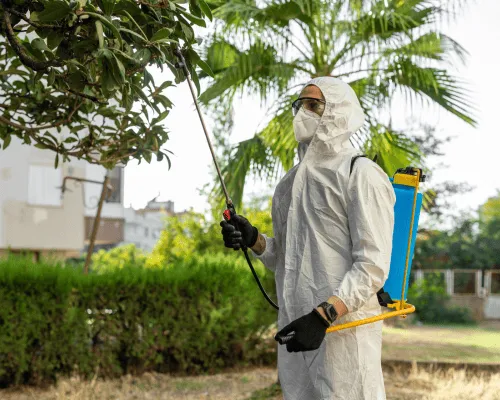 Boondall Rodent Control