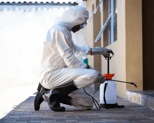 Taigum Commercial Pest Control