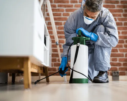 Bracken Ridge Residential Pest Control