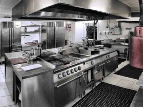 Commercial Pest Control in Brisbane