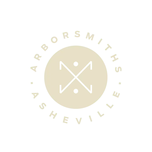 Tree Service Asheville, NC