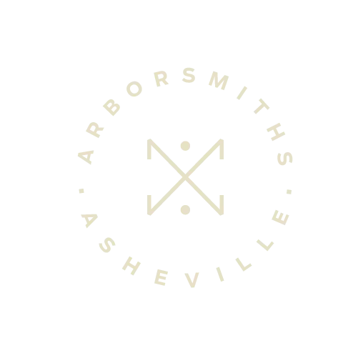 Tree Service Asheville, NC