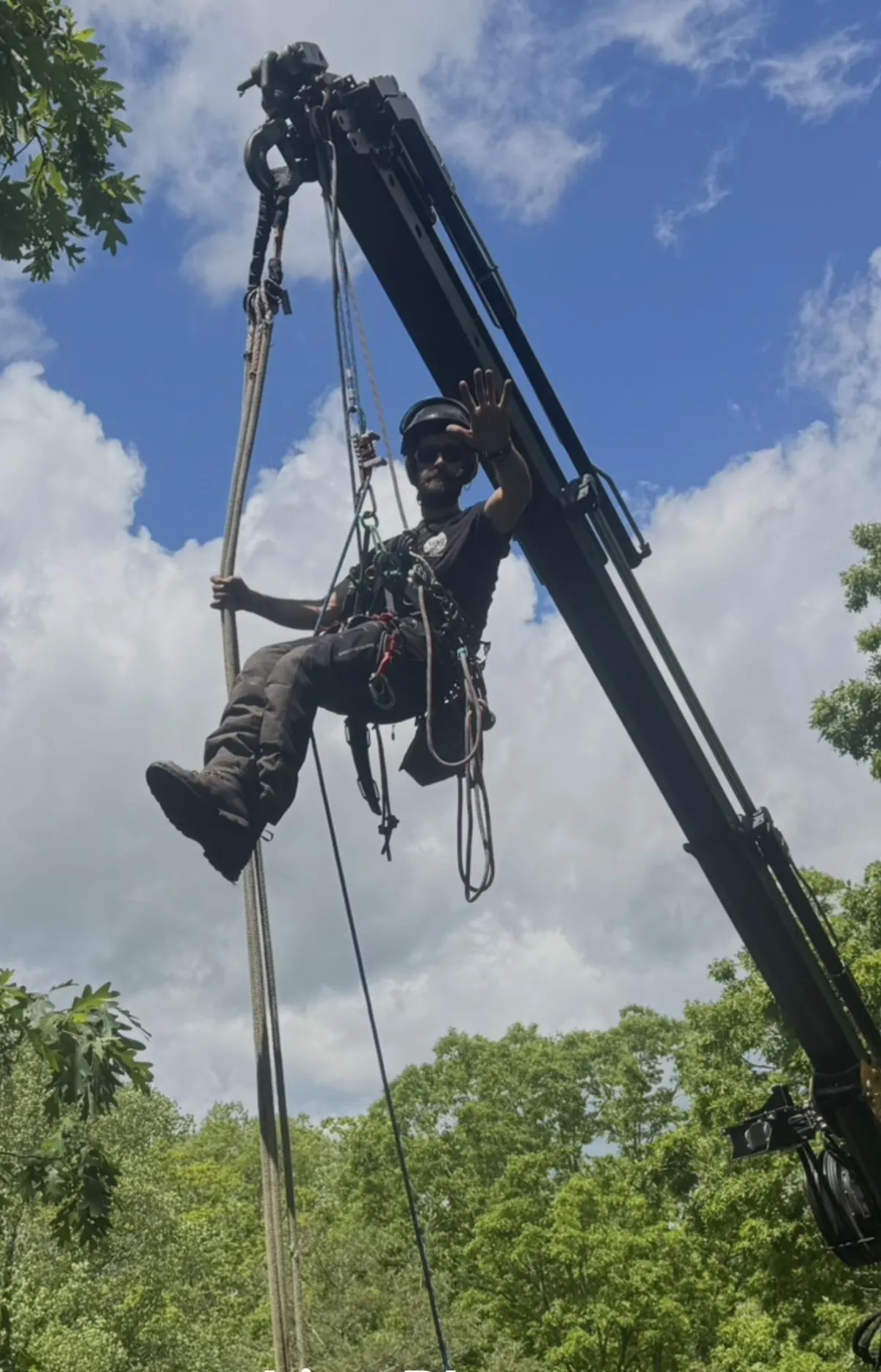 Tree Removal Asheville, NC