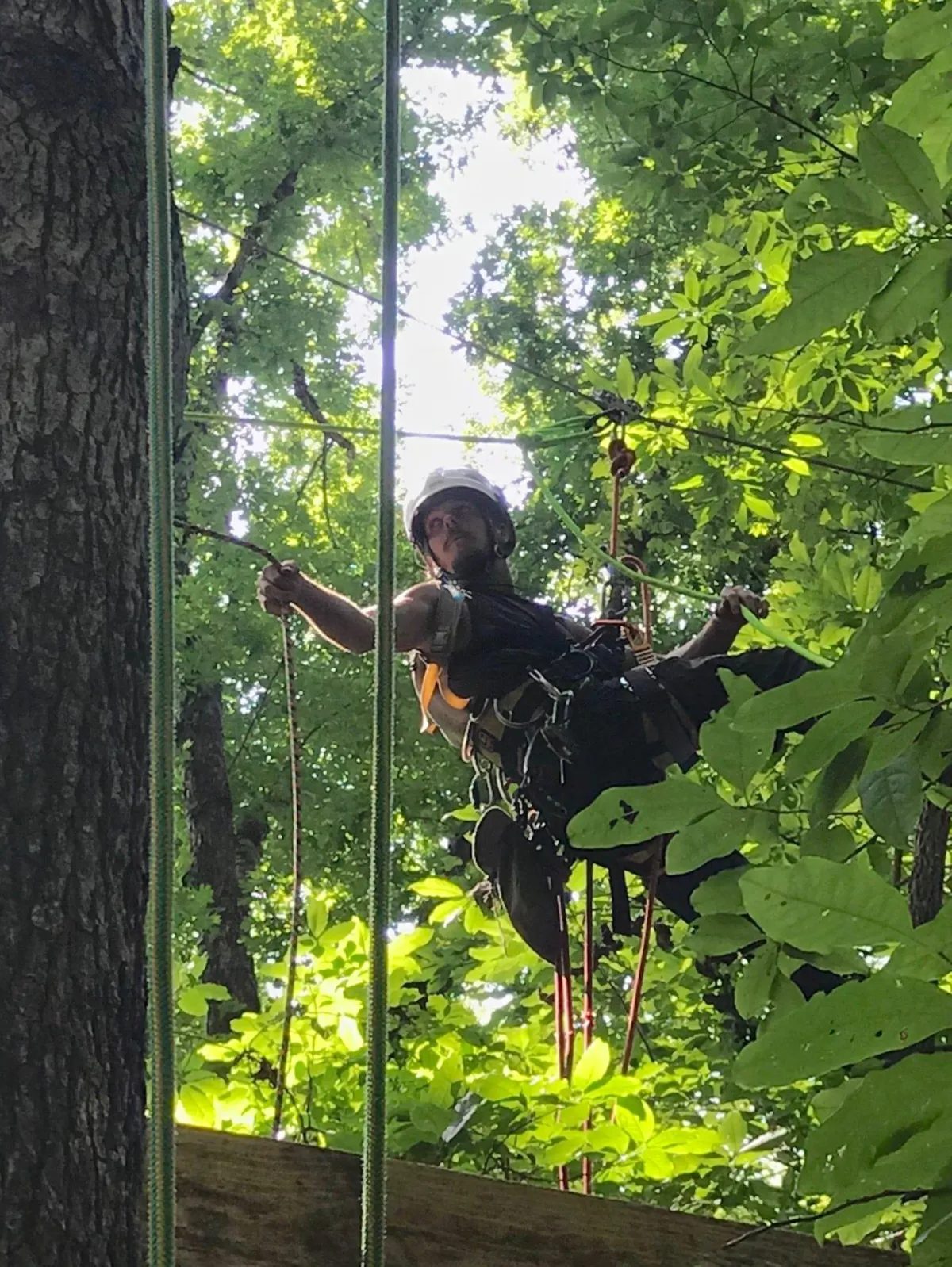 {{ custom_values.service_1 }} in {{custom_values.biz_area_1})