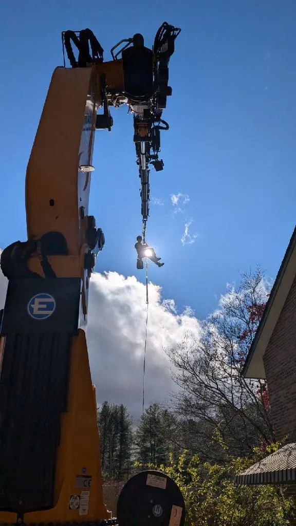 Tree Health Care Asheville, NC