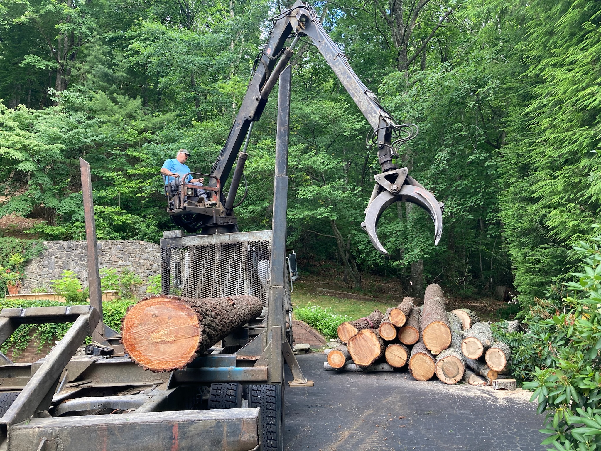 Weaverville, NC Tree Pruning & Trimming