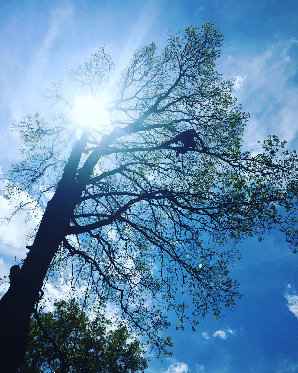 {{ custom_values.service_1 }} in {{custom_values.biz_area_1})