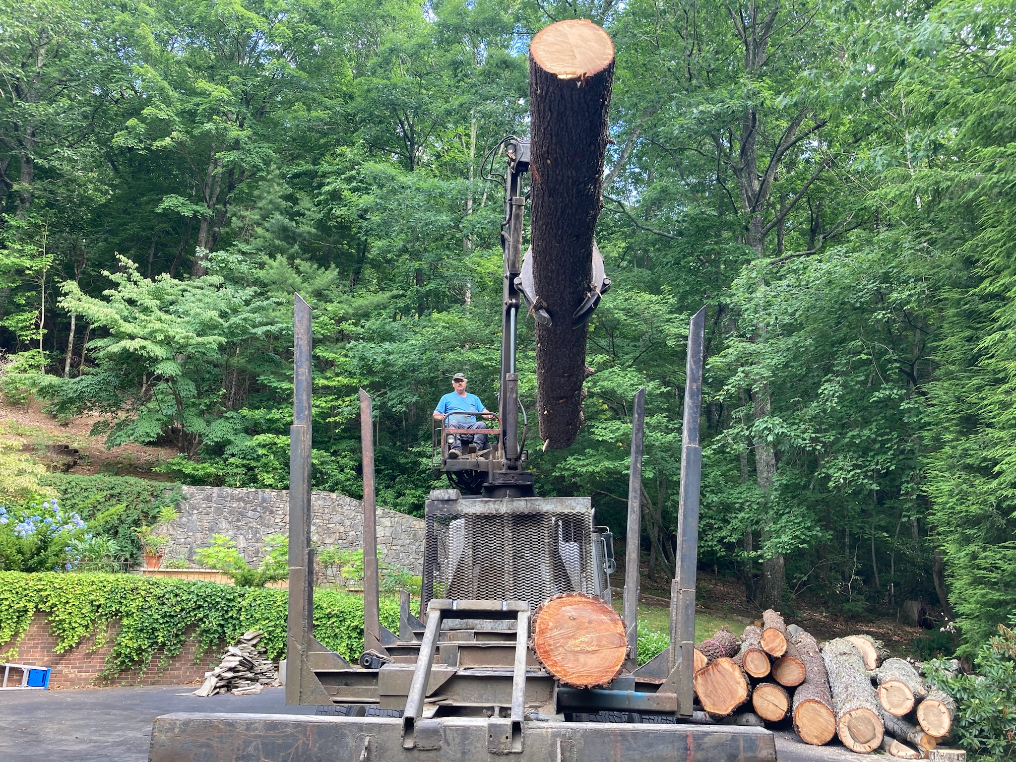 Weaverville Tree Removal