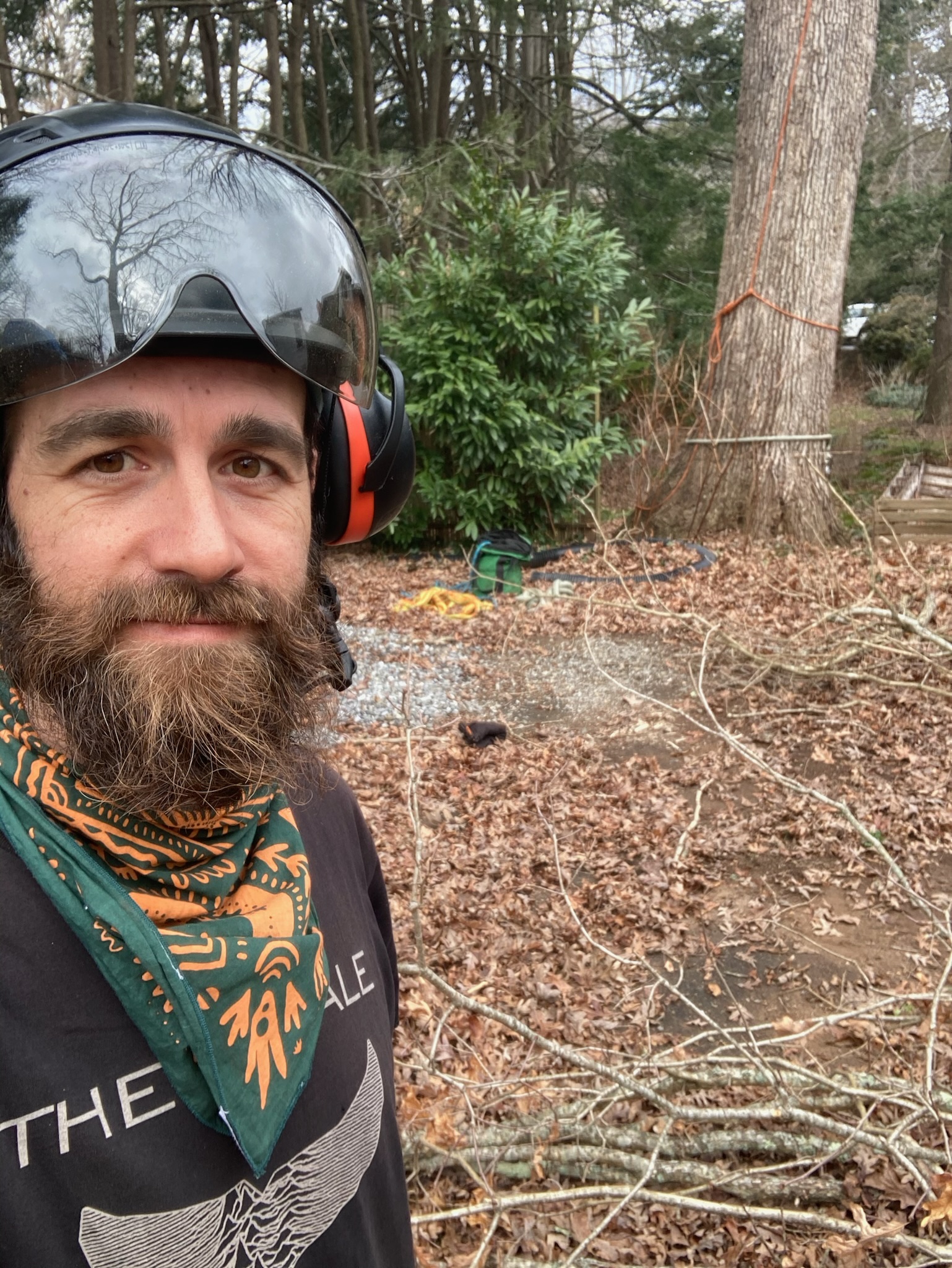 Black Mountain Tree Health Care