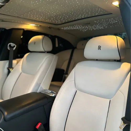 Mobile Detailer in Houston, Texas