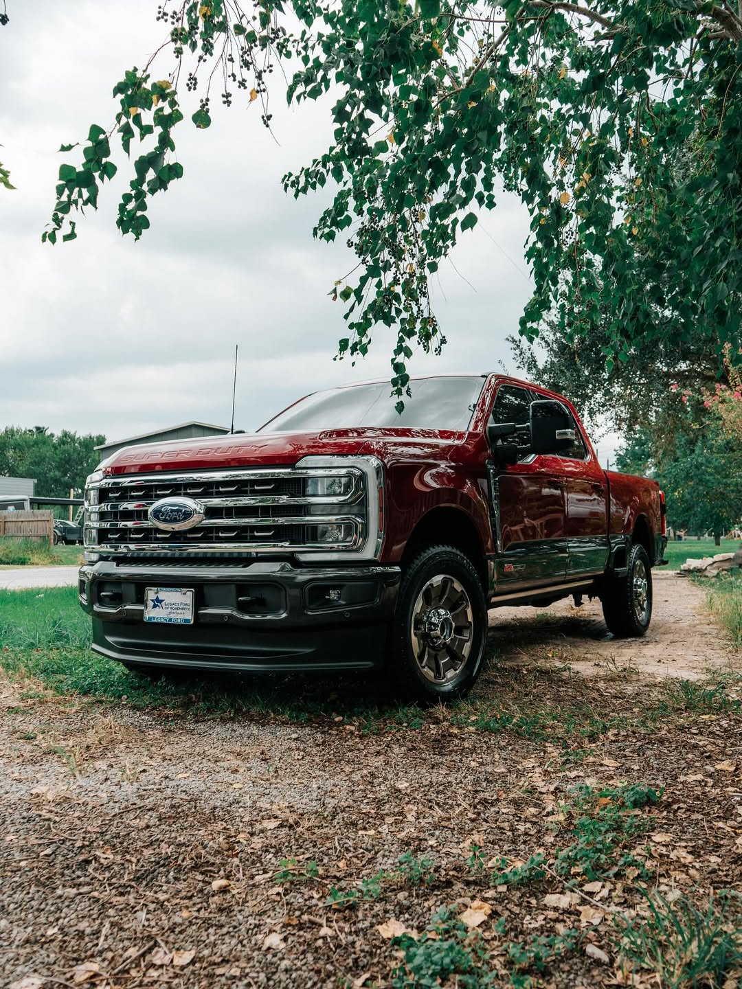 Paint Correction in Houston, Texas