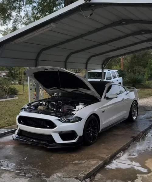 Paint Correction in Houston, Texas