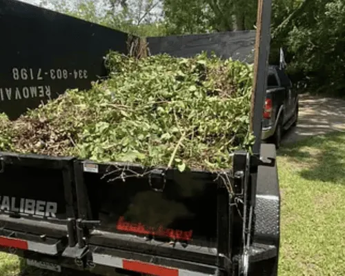 Cleanups in Dothan