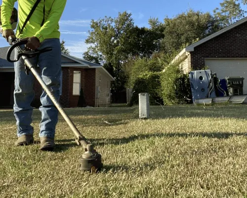 Cleanups Dothan
