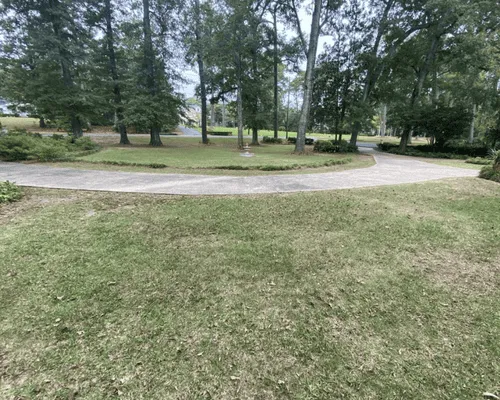 Lawn Care Dothan