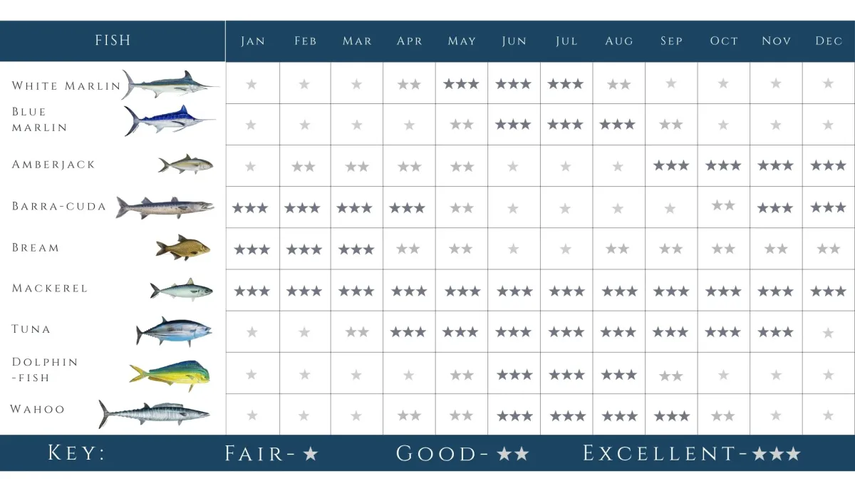 big game fishing calendar in lanzarote