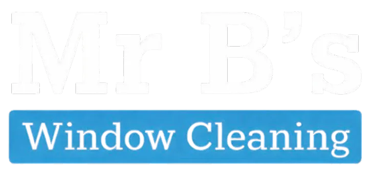 Mr B's Window cleaning logo