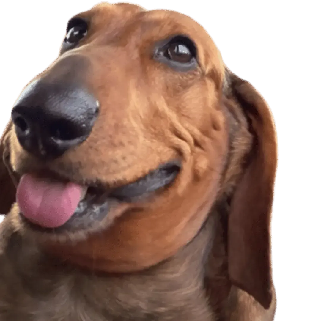 Headshot of Berry