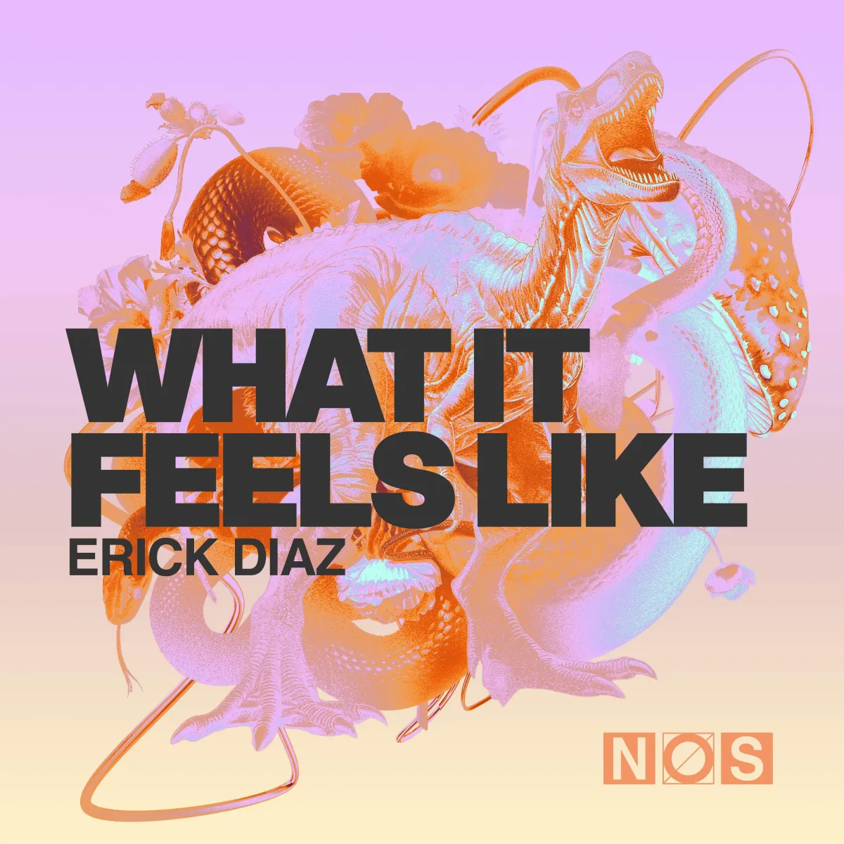 Erick Diaz - What It Feels Like