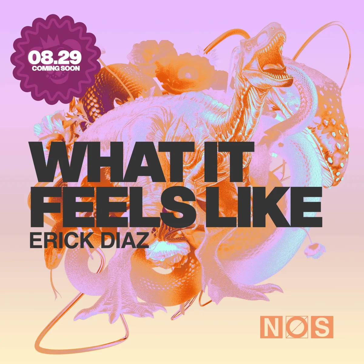 Erick Diaz - What It Feels Like