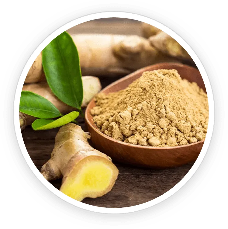 Ginger Powder