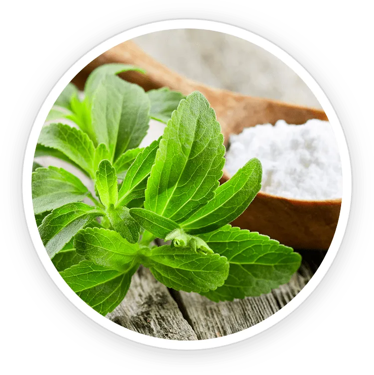 Stevia