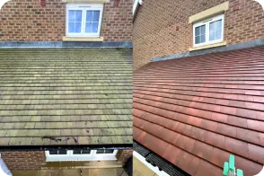 roof moss cleaning