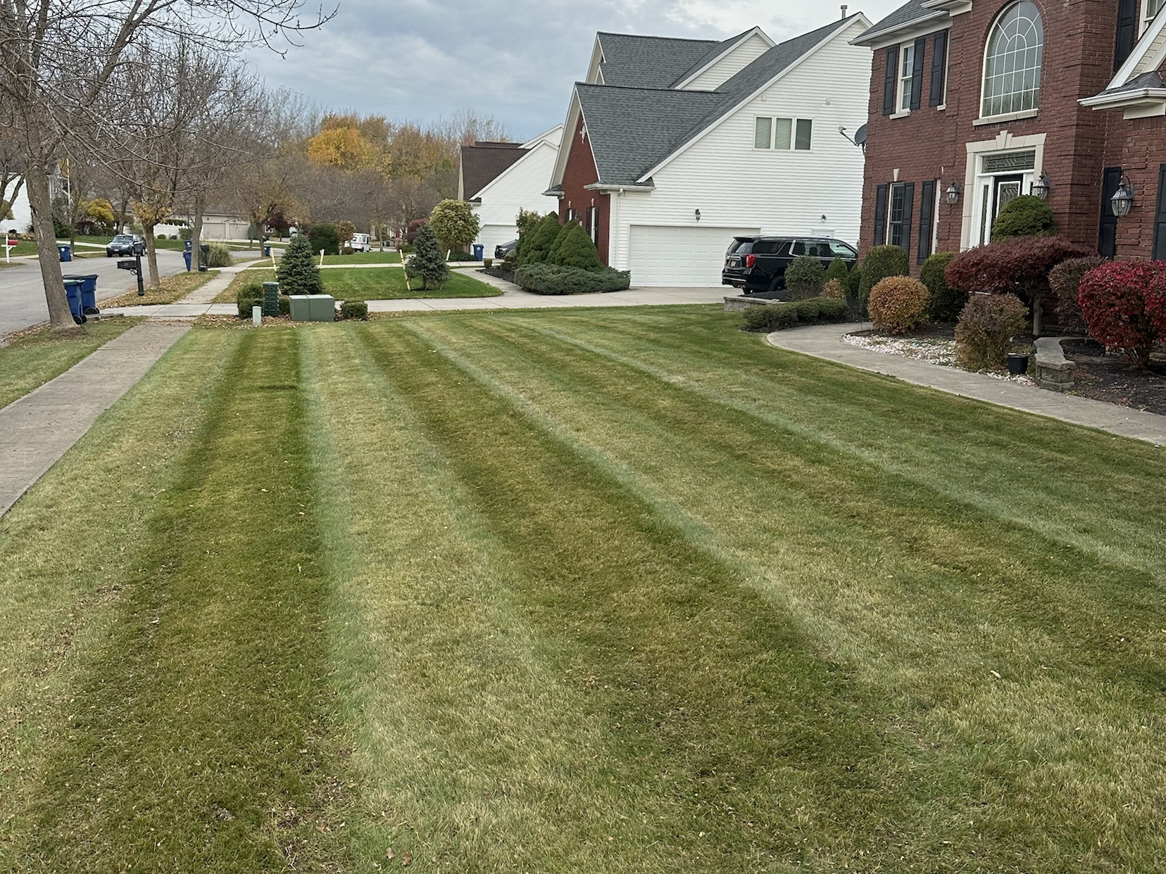Amherst Lawn Care
