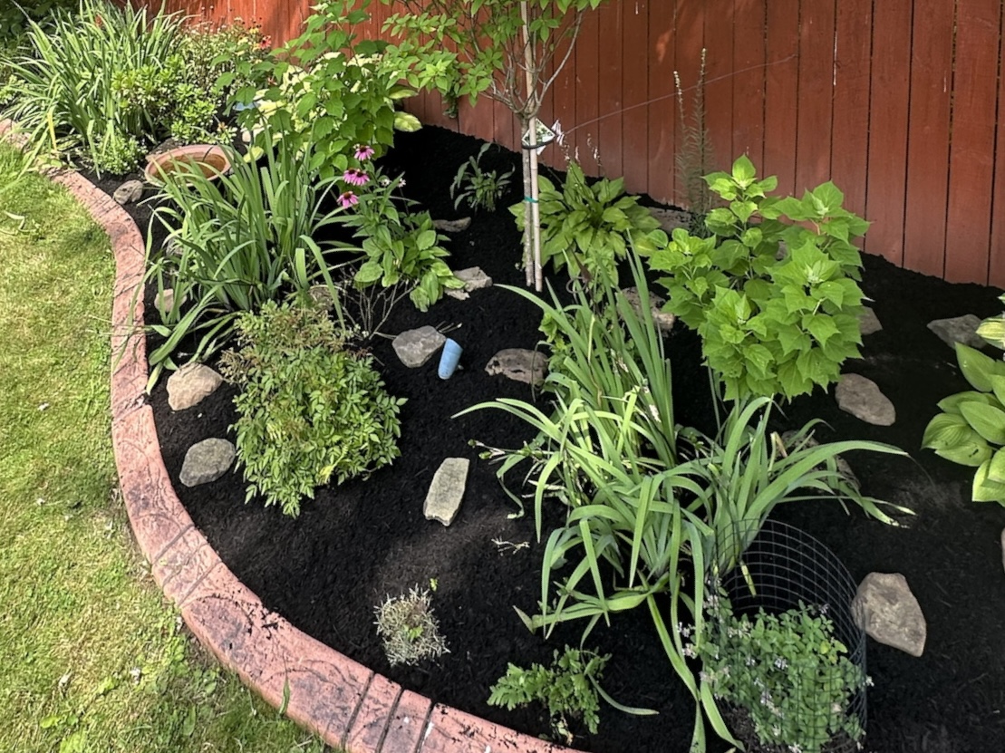 Spring Cleanup in Buffalo