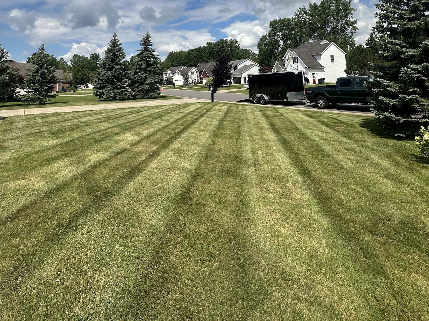 Lawn Care in Buffalo