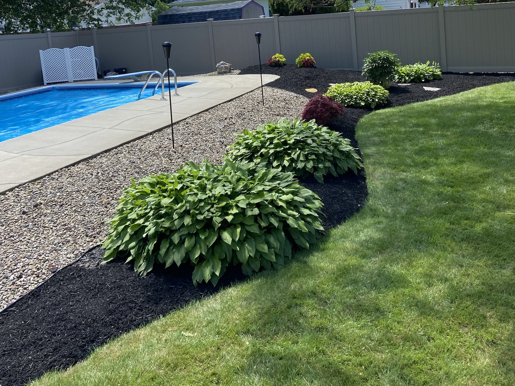 Sod Installation Buffalo