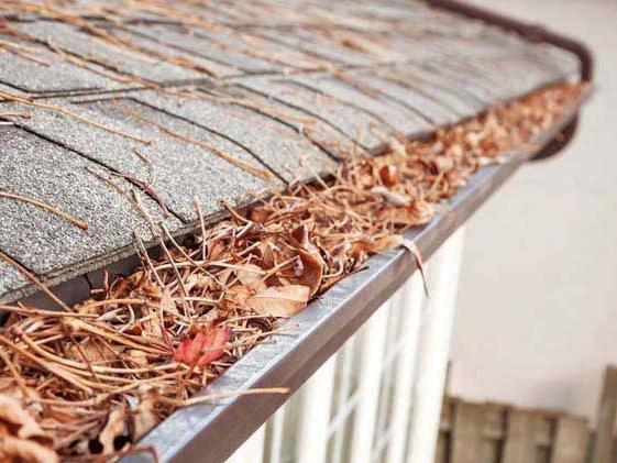 Gutter Cleaning in Buffalo